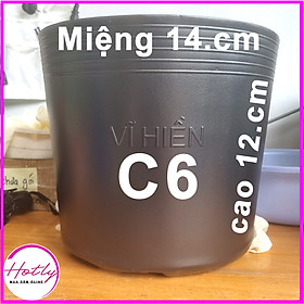 50 Chậu nhựa C6 trồng cây và ươm cây giống miệng.cao 14x12 cm -77100