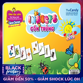 Flashcard Dạy Trẻ Theo Phương Pháp Glenn Doman - Côn Trùng