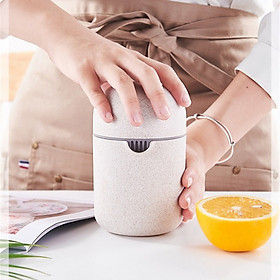 Mua Bình vắt Cam ép Trái cây Lúa Mạch Pebble Stone
