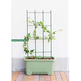 Mua KHUNG R45*C120 CM