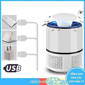 Mua Máy Bắt Muỗi Bóng Đèn Led Thông Minh Đầu Cắm Tiện Dụng  Nhẹ Nhàng Khi Di Chuyển (Màu Ngẫu Nhiên) - Vận Chuyển Miễn Phí Toàn Quốc