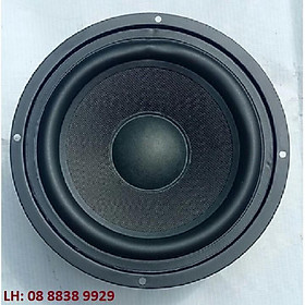 Mua CẶP CỦ LOA RỜI BASS 16 HE TỪ 100