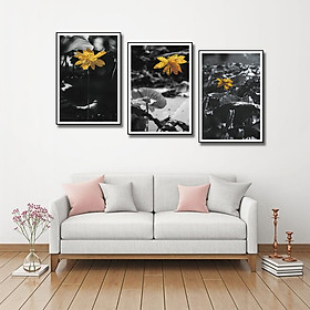 Bộ 10 Tranh Canvas
