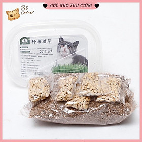 Bộ kit tự trồng cỏ lúa mạch tươi cho mèo (Hộp 100g)