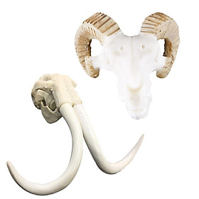 2xReptile Vivarium Decoration Resin Animal Skull Hide Cave Aquarium Ornament