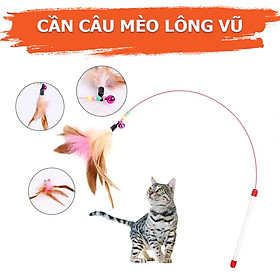 Đồ Chơi Cần Câu Cho Mèo Nhiều Mẫu