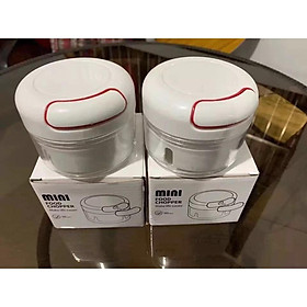 Mua DỤNG CỤ XAY TỎI ỚT ĐA NĂNG BẰNG TAY MINI