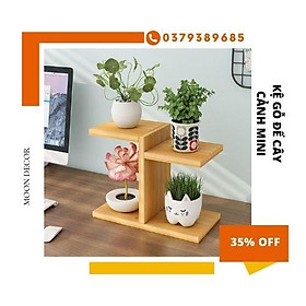 Mua Kệ Để Bàn Hoa Giá Đỡ Đứng kệ để cây cảnh mini đồ lưu niệm trên bàn sang trọng gỗ tự nhiên kích thước 30x25x12