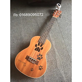 Mua Đàn Ukulele dấu chân chó