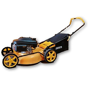 Mua MÁY CẮT CỎ LÀM VƯỜN DÙNG XĂNG 3.5Kw INGCO GLM196201 - HÀNG CHÍNH HÃNG