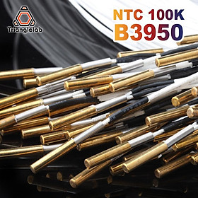Cảm biến hộp mực nhiệt điện trở Trianglelab NTC 100K ohm B3950 Nhiệt độ cao 280oC cho máy in 3D khối gia nhiệt v6 PT100 V6