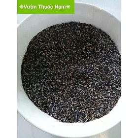 Mua sét 200 hạt giống cây cỏ đuôi chuột rất dể gieo tỷ lệ nảy mầm cao