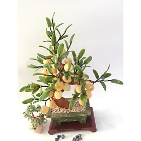Mua Cây Tài Lộc - Đào đá Ngọc hoàng Long vàng 28 quả- chậu ngọc - Lá Cẩm thạch - cao 48cm - nặng 4 3kg