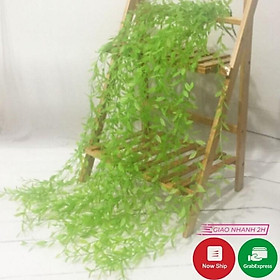 Mua Dây lá trúc non - Cúc tần Ấn Độ  dây leo cành lá giả treo tường cao cấp trang trí nhà cửa  sân vườn Lizflower