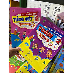 Bộ 4 cuốn bài tập hàng ngày Toán và Tiếng việt từ lớp 1 đến 5 kết nối tri thức cả năm ( tuỳ chọn) - Tri Thức Việt