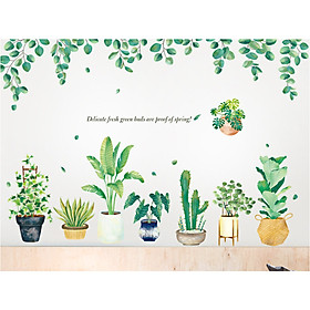 DECAL CHẬU CÂY HOA LÁ MỚI