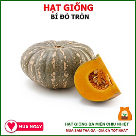 Mua Hạt Giống Bí Đỏ F1 Chất Lượng Cao Gói 2 gram Nguyên Bao Bì Nhà Sản Xuất - Shop Hạt Giống Ba Miền Chịu Nhiệt