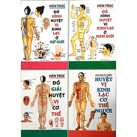 Hình ảnh sách Huyệt vị kinh lạc cơ thể người (Huyệt vị - Đồ giải - Đồ hình Nam nữ)