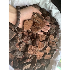 Mua Vỏ thông trồng lan loại đẹp đều không vụn size 3x4