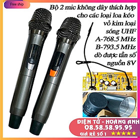 Mua Bộ 2 Mic Loa kéo không dây Cao Cấp Chỉnh Được Tần Số