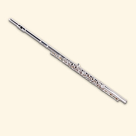 Mua Sáo Flute Cao Cấp Tặng Full Phụ Kiện