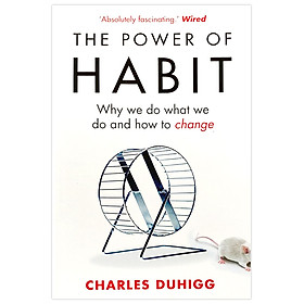 Hình ảnh sách The Power of Habit : Why We Do What We Do and How to Change