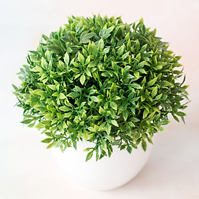 Mua Chậu cây cỏ xanh tươi trang trí để bàn - Chậu Trắng