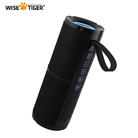 WISE TIGER Loa Đài FM Hộp Âm Thanh BT5.3 Loa Bluetooth Không Dây Di Động Ngoài Trời Loa Đa Năng Có Đèn RGB Color: Black