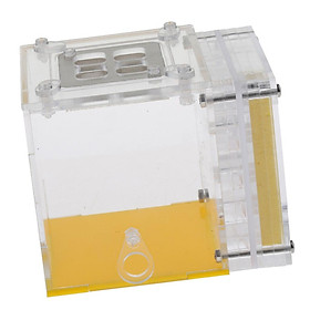 Kiến Nhà Ở Tổ Loài Côn Trùng Lồng Trang Trại Cho Ăn Độ Ẩm Bằng Nhựa Acrylic Màn Hình Hộp Vuông-Giáo Dục formicar