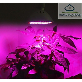 Đèn led trồng cây dùng trong nhà, led trồng cây công nghiệp và hộ gia đình công suất 20W