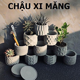 Hình ảnh Set 6 Chậu xi măng đúc SeeArt, trồng xương rồng, sen đá, hoa cây cảnh mini, chậu xi măng trụ tròn 11x8.5cm , Chậu đĩa lót cây nghệ thuật để bàn Cori Onion Decor