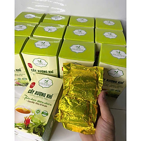 Trà túi lọc Cây xương khỉ ( Hộp 30 túi mổi túi 5g) - Tốt cho người gan b,c, men gan cao, nhức mỏi, đau nhức và hỗ trợ K