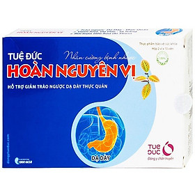 Tuệ đức hoàn nguyên vị H 20v - Hỗ trợ điều trị trào ngược dạ dày - thực