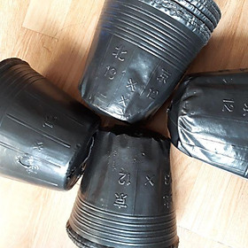 1kg bầu ươm cây 13x 12 /300 cái
