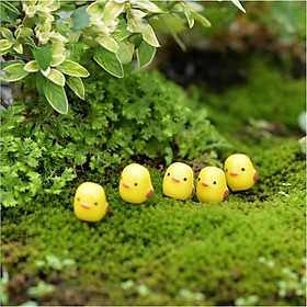 Mua KHO-HN * Combo 05 con gà con màu vàng trang trí tiểu cảnh  thủy sinh  bonsai  DIY