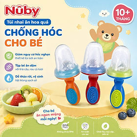 Túi nhai ăn hoa quả, chống hóc cho bé ( 10m+ ) Nuby