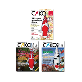 Cá Koi Vietnam - Combo 3 cuốn (Tập 10, 11, 12) - Grafica