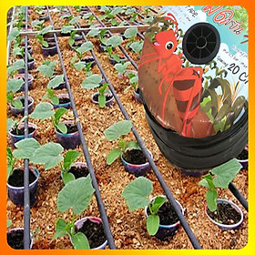 Mua Ống Dây Tưới Nhỏ Giọt Cho Đồng Ruộng  Vườn Cây  Nông Trại