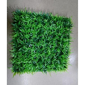Mua Thảm cỏ nhựa   cỏ nhân tạo (5 tấm)