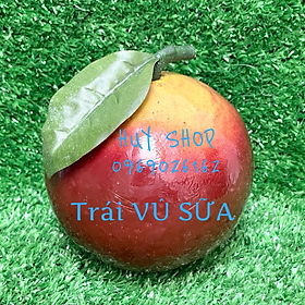 Mua 1 Trái VÚ SỮA nhân tạo trang trí - Trái Cây Giả