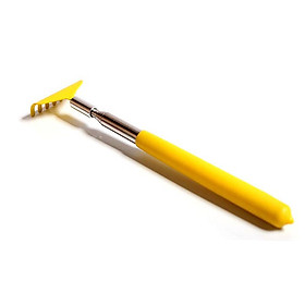 Mua Cây gãi ngứa tiện lợi
