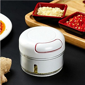 Mua Máy xay tỏi ớt cầm tay Mini Food Chopper