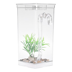 Bể Cá Tự Làm Sạch Để Bàn Trong Suốt
