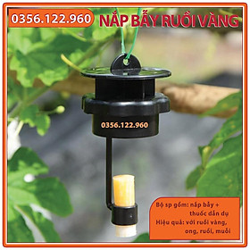 Mua Nắp bẫy Ruồi vàng + thuốc dẫn dụ - Dụng cụ bẫy Ruồi  muỗi  ong