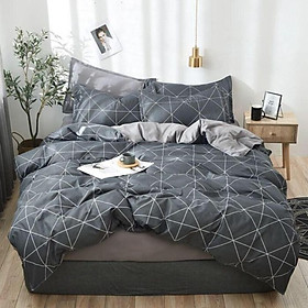 Bộ chăn ga gối Cotton cao cấp 1m6x2m DQK148