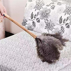 Fluffy Natural Ostrich Feather Duster Wooden Handle Household Cleaning Tool