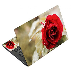 Mua Miếng Dán Decal Dành Cho Laptop Mẫu Nghệ Thuật LTNT-451