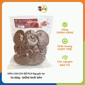 NẤM LINH CHI ĐỎ PLN - Nguyên tai. Túi 250g - Giống Nhật Bản