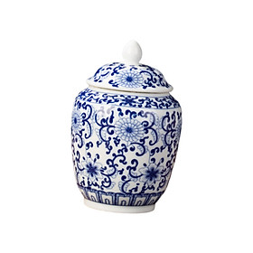Tea Storage Porcelain Tea Canister Ginger Jar Versatile Elegant Tea Tins Can