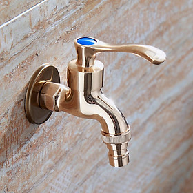 Water Tap Indoor Outdoor Faucet Garden Bibcock for Bathroom Bronze